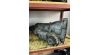 AUDİ A4-A5-A6 2.0 TFSI QUATRO OTOMATİK ŞANZIMAN